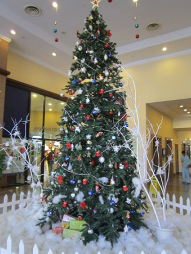 Christmas atmosphere overwhelms Hanoi